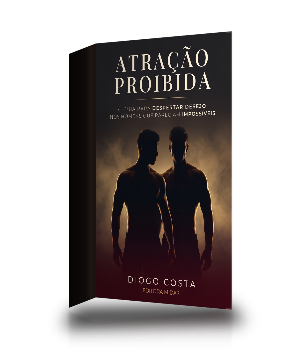 Ebook Atração Proibida